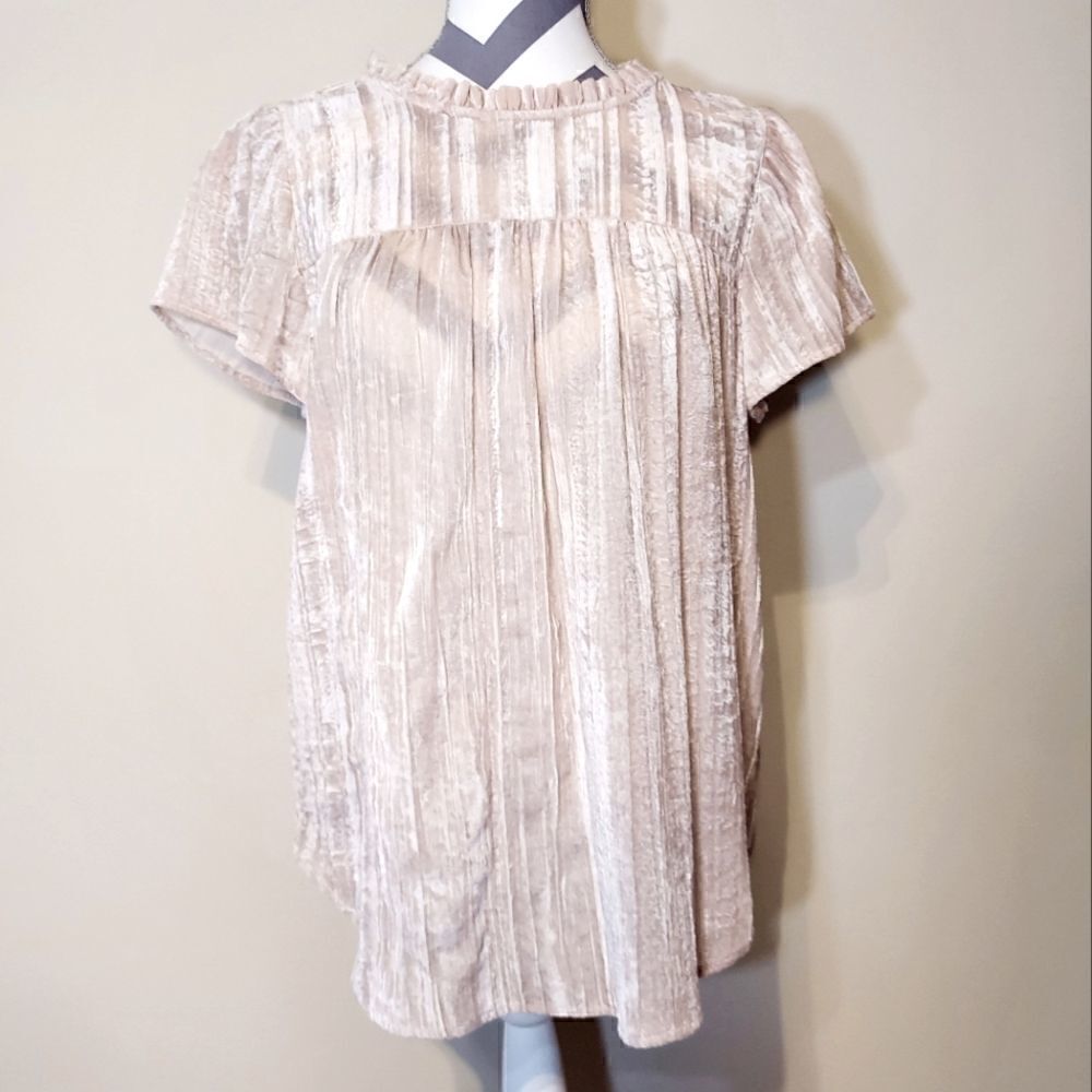 Sheer Crush Flutter Sleeve Blouse